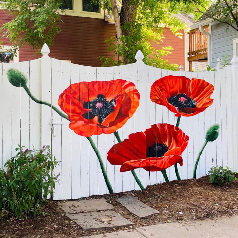 Mural painted in Boulder Colorado by Jason T. Graves and Remington Robinson